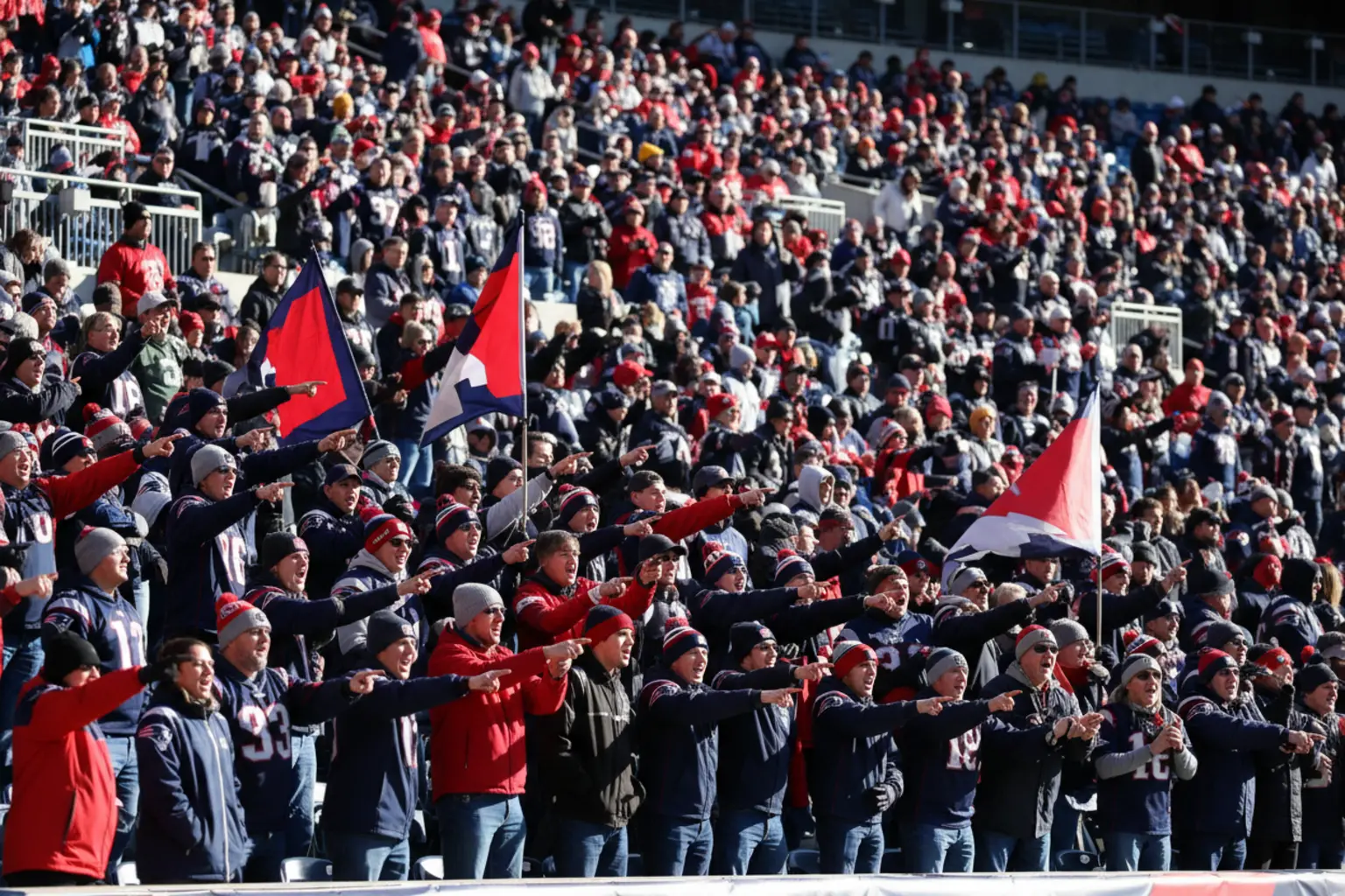 Dozens of Patriots fans pointing in unison from the stands with red, white and navy flags on poles